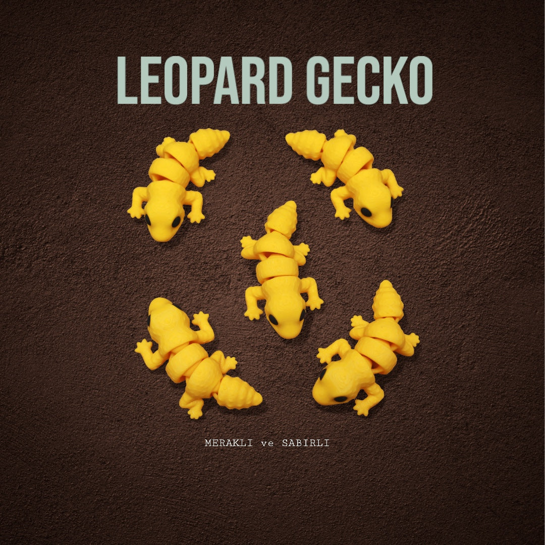 Leopar kertenkelesi