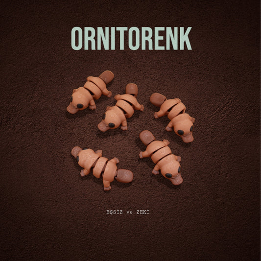 Ornitorenk