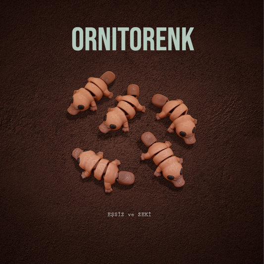 Ornitorenk